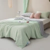 Wholesale of A-class ice cream cool-feeling silk summer cool quilts, solid-color air-conditioned quilts, machine-washable summer ice silk thin quilts details Picture